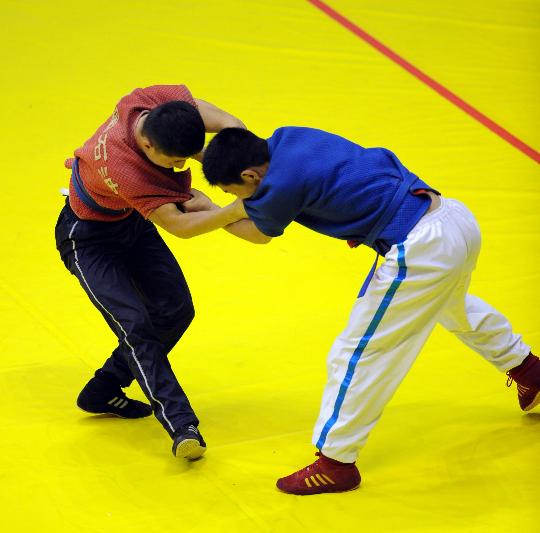 摔跤训练中国3图片