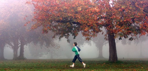 图文英国通讯社百年天气体育部分2006年秋林晨跑